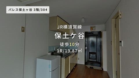 動画