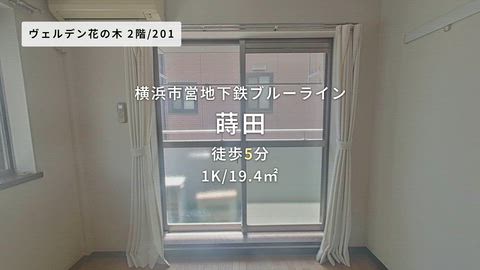 動画