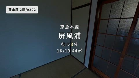 動画