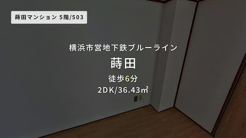 動画