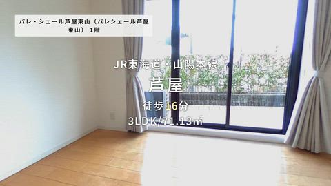 紹介ムービー