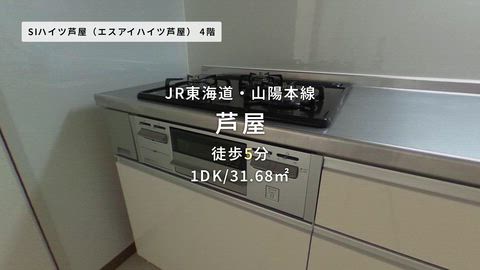 動画