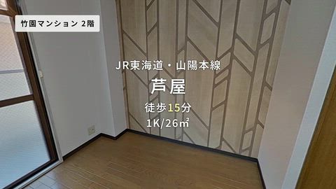 動画