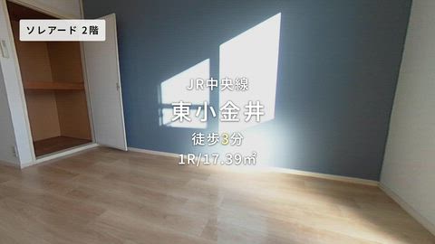 動画