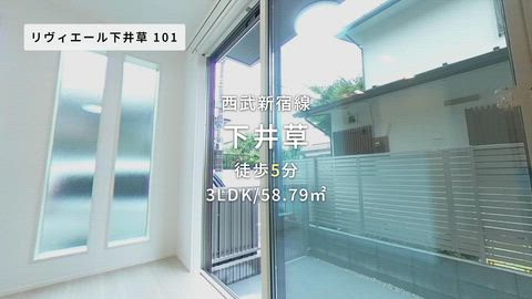 動画