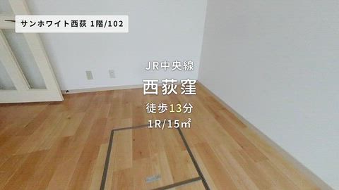 動画