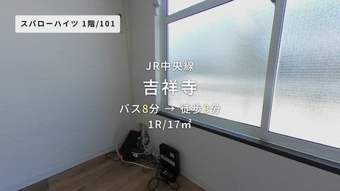 動画