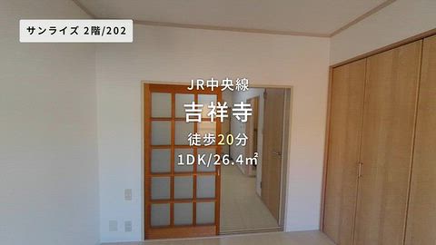 動画