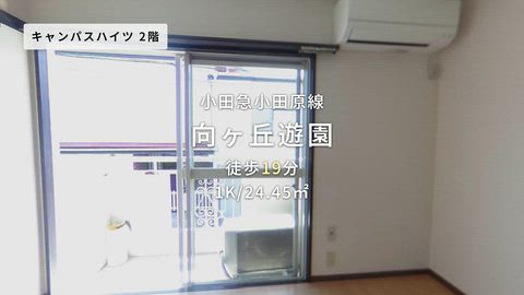 紹介ムービー