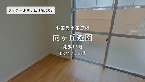 紹介ムービー