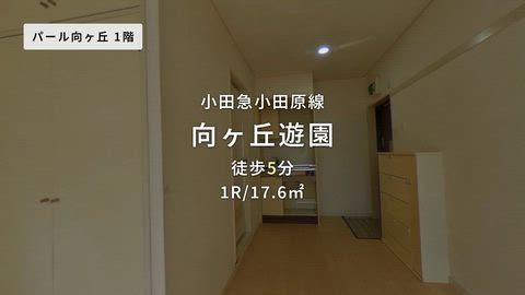 動画