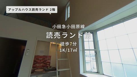動画