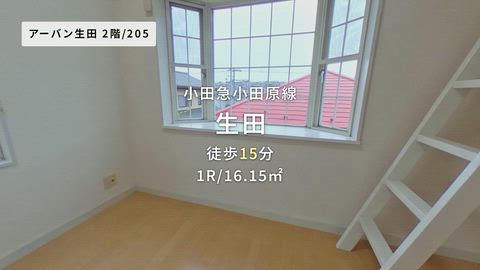 動画