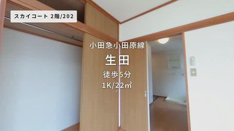 動画