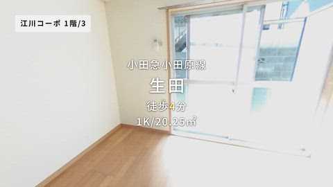 動画