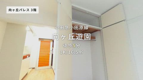 動画