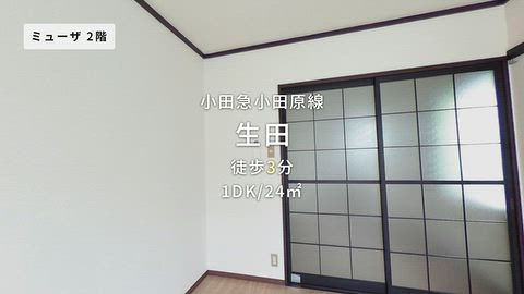 動画