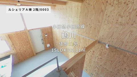 動画