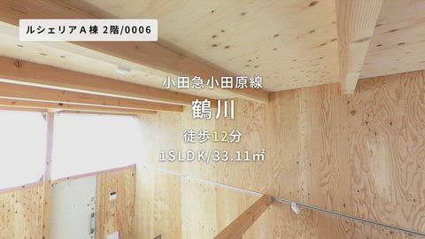 動画