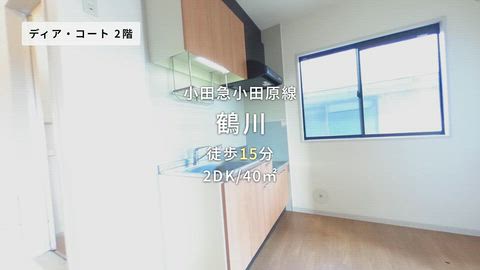 動画