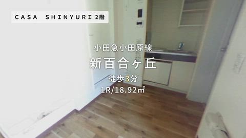 動画