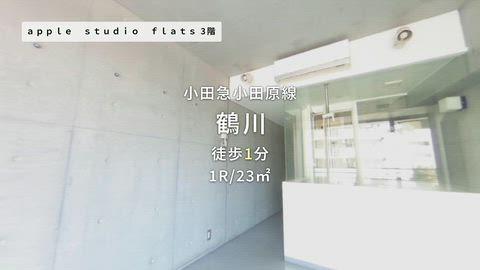 動画
