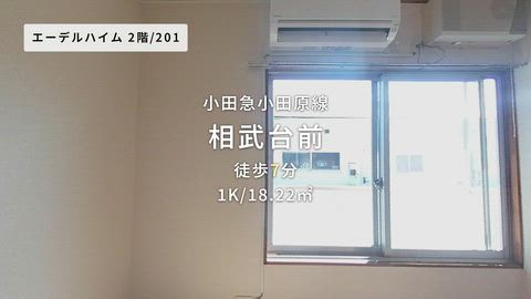 紹介ムービー