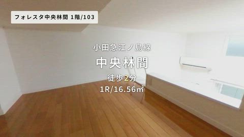 紹介ムービー
