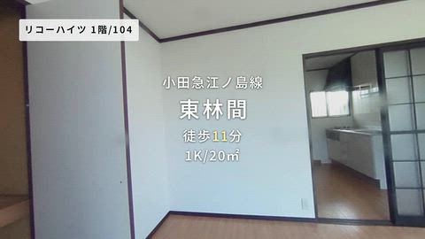 動画