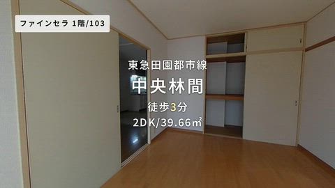 動画