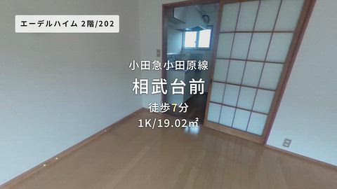 動画