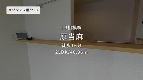 動画