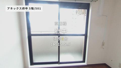 紹介ムービー