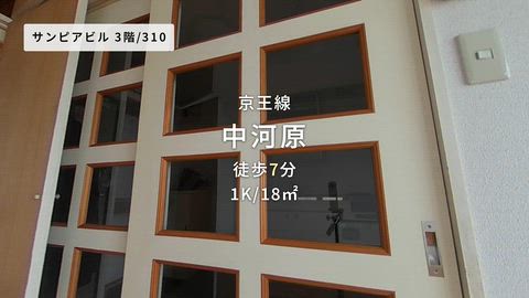 動画