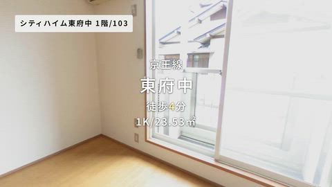 動画