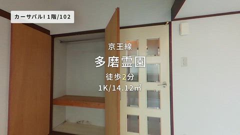 動画