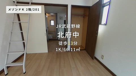 動画