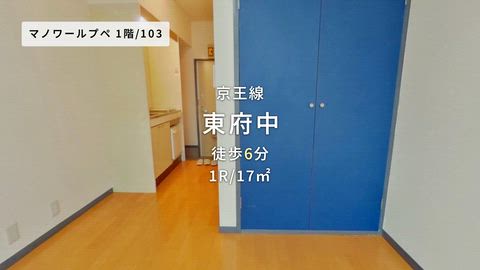 動画