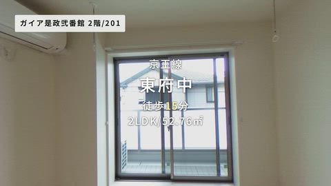 動画