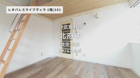 動画