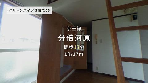 動画