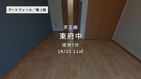 動画