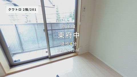 動画