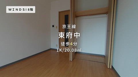 動画
