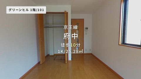 動画