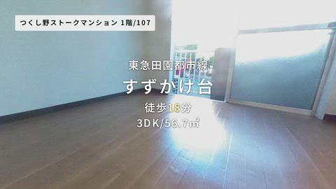 紹介ムービー