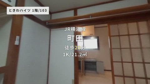 動画