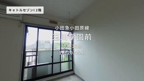 動画