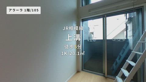 動画