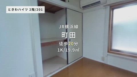 動画